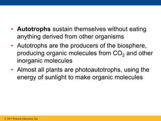 • Autotrophs sustain themselves without eating
anything derived from other organisms
• Autotrophs are the producers of the biosphere,
producing organic molecules from CO2 and other
inorganic molecules
• Almost all plants are photoautotrophs, using the
energy of sunlight to make organic molecules
© 2011 Pearson Education, Inc.
 