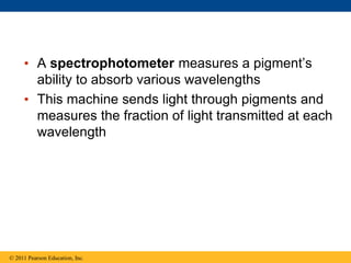 • A spectrophotometer measures a pigment’s
ability to absorb various wavelengths
• This machine sends light through pigments and
measures the fraction of light transmitted at each
wavelength
© 2011 Pearson Education, Inc.
 