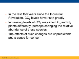 • In the last 150 years since the Industrial
Revolution, CO2 levels have risen greatly
• Increasing levels of CO2 may affect C3 and C4
plants differently, perhaps changing the relative
abundance of these species
• The effects of such changes are unpredictable
and a cause for concern
© 2011 Pearson Education, Inc.
 
