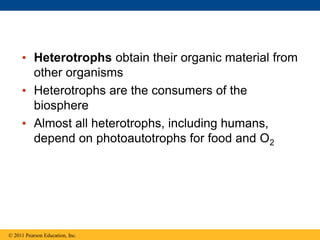 • Heterotrophs obtain their organic material from
other organisms
• Heterotrophs are the consumers of the
biosphere
• Almost all heterotrophs, including humans,
depend on photoautotrophs for food and O2
© 2011 Pearson Education, Inc.
 