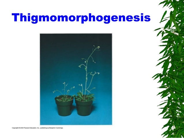 Chap11 hormones