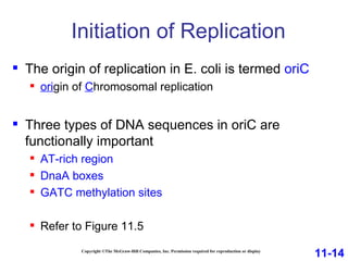 Initiation of Replication Copyright ©The McGraw-Hill Companies, Inc. Permission required for reproduction or display The origin of replication in E. coli is termed  oriC ori gin of  C hromosomal replication Three types of DNA sequences in oriC are functionally important AT-rich region DnaA boxes GATC methylation sites Refer to Figure 11.5 11-14 