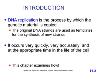 INTRODUCTION DNA replication  is the process by which the genetic material is copied The original DNA strands are used as templates for the synthesis of new strands  It occurs very quickly, very accurately, and at the appropriate time in the life of the cell  This chapter examines how! 11-2 Copyright ©The McGraw-Hill Companies, Inc. Permission required for reproduction or display 
