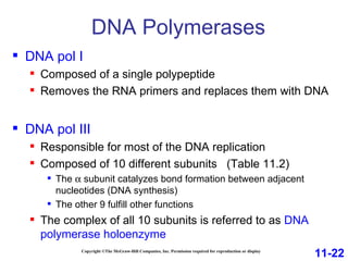 DNA Polymerases Copyright ©The McGraw-Hill Companies, Inc. Permission required for reproduction or display DNA pol I Composed of a single polypeptide Removes the RNA primers and replaces them with DNA  DNA pol III Responsible for most of the DNA replication Composed of 10 different subunits  (Table 11.2) The    subunit catalyzes bond formation between adjacent nucleotides (DNA synthesis) The other 9 fulfill other functions The complex of all 10 subunits is referred to as  DNA polymerase holoenzyme 11-22 