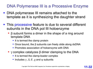 DNA Polymerase III is a Processive Enzyme Copyright ©The McGraw-Hill Companies, Inc. Permission required for reproduction or display DNA polymerase III remains attached to the template as it is synthesizing the daughter strand This  processive  feature is due to several different subunits in the DNA pol III holoenzyme    subunit forms a dimer in the shape of a ring around template DNA It is termed the clamp protein Once bound, the    subunits can freely slide along dsDNA Promotes association of holoenzyme with DNA    complex catalyzes   dimer clamping to the DNA It is termed the clamp-loader complex Includes   ’,   and    subunits 11-32 