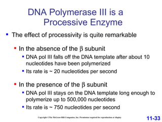 DNA Polymerase III is a  Processive Enzyme Copyright ©The McGraw-Hill Companies, Inc. Permission required for reproduction or display The effect of processivity is quite remarkable In the absence of the    subunit DNA pol III falls off the DNA template after about 10 nucleotides have been polymerized Its rate is ~ 20 nucleotides per second In the presence of the    subunit DNA pol III stays on the DNA template long enough to polymerize up to 500,000 nucleotides Its rate is ~ 750 nucleotides per second 11-33 