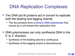 DNA Replication Complexes Copyright ©The McGraw-Hill Companies, Inc. Permission required for reproduction or display Two DNA pol III proteins act in concert to replicate both the leading and lagging strands The two proteins form a  dimeric DNA polymerase  that moves as a unit toward the replication fork DNA polymerases can only synthesize DNA in the  5’ to 3’ direction Synthesis of the leading strand is continuous Synthesis of the lagging strand is discontinuous 11-40 
