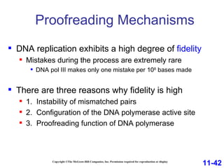 Proofreading Mechanisms Copyright ©The McGraw-Hill Companies, Inc. Permission required for reproduction or display DNA replication exhibits a high degree of  fidelity Mistakes during the process are extremely rare DNA pol III makes only one mistake per 10 8  bases made  There are three reasons why fidelity is high 1.  Instability of mismatched pairs 2.  Configuration of the DNA polymerase active site 3.  Proofreading function of DNA polymerase  11-42 