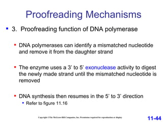Proofreading Mechanisms Copyright ©The McGraw-Hill Companies, Inc. Permission required for reproduction or display 3.  Proofreading function of DNA polymerase DNA polymerases can identify a mismatched nucleotide and remove it from the daughter strand The enzyme uses a 3’ to 5’  exonuclease  activity to digest the newly made strand until the mismatched nucleotide is removed DNA synthesis then resumes in the 5’ to 3’ direction  Refer to figure 11.16 11-44 