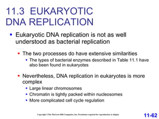 11.3  EUKARYOTIC  DNA REPLICATION Eukaryotic DNA replication is not as well understood as bacterial replication The two processes do have extensive similarities The types of bacterial enzymes described in Table 11.1 have also been found in eukaryotes Nevertheless, DNA replication in eukaryotes is more complex Large linear chromosomes Chromatin is tightly packed within nucleosomes More complicated cell cycle regulation Copyright ©The McGraw-Hill Companies, Inc. Permission required for reproduction or display 11-62 