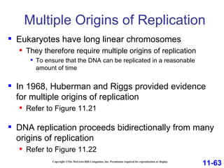 Multiple Origins of Replication Copyright ©The McGraw-Hill Companies, Inc. Permission required for reproduction or display Eukaryotes have long linear chromosomes They therefore require multiple origins of replication  To ensure that the DNA can be replicated in a reasonable amount of time In 1968, Huberman and Riggs provided evidence for multiple origins of replication Refer to Figure 11.21 DNA replication proceeds bidirectionally from many origins of replication Refer to Figure 11.22  11-63 
