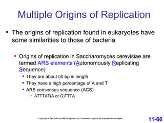 Multiple Origins of Replication Copyright ©The McGraw-Hill Companies, Inc. Permission required for reproduction or display The origins of replication found in eukaryotes have some similarities to those of bacteria Origins of replication in Saccharomyces cerevisiae are termed  ARS elements  ( A utonomously  R eplicating  S equence) They are about 50 bp in length They have a high percentage of A and T ARS consensus sequence (ACS) ATTTAT(A or G)TTTA 11-66 