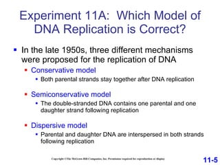 Experiment 11A:  Which Model of DNA Replication is Correct? In the late 1950s, three different mechanisms were proposed for the replication of DNA Conservative model Both parental strands stay together after DNA replication Semiconservative model The double-stranded DNA contains one parental and one daughter strand following replication Dispersive model Parental and daughter DNA are interspersed in both strands following replication Copyright ©The McGraw-Hill Companies, Inc. Permission required for reproduction or display 11-5 