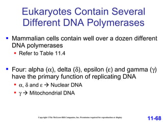 Eukaryotes Contain Several Different DNA Polymerases Copyright ©The McGraw-Hill Companies, Inc. Permission required for reproduction or display Mammalian cells contain well over a dozen different DNA polymerases Refer to Table 11.4 Four: alpha (  ), delta (  ), epsilon (  ) and gamma (  ) have the primary function of replicating DNA  ,    and     Nuclear DNA       Mitochondrial DNA 11-68 
