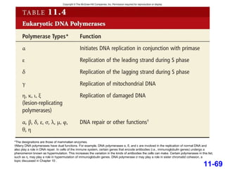 11-69 *The designations are those of mammalian enzymes. † Many DNA polymerases have dual functions. For example, DNA polymerases α, δ, and ε are involved in the replication of normal DNA and also play a role in DNA repair. In cells of the immune system, certain genes that encode antibodies (i.e., immunoglobulin genes) undergo a phenomenon known as hypermutation. This increases the variation in the kinds of antibodies the cells can make. Certain polymerases in this list, such as η, may play a role in hypermutation of immunoglobulin genes. DNA polymerase σ may play a role in sister chromatid cohesion, a topic discussed in Chapter 10 . 