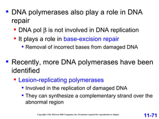 Copyright ©The McGraw-Hill Companies, Inc. Permission required for reproduction or display DNA polymerases also play a role in DNA repair DNA pol    is not involved in DNA replication  It plays a role in  base-excision repair Removal of incorrect bases from damaged DNA  Recently, more DNA polymerases have been identified Lesion-replicating polymerases Involved in the replication of damaged DNA They can synthesize a complementary strand over the abnormal region 11-71 