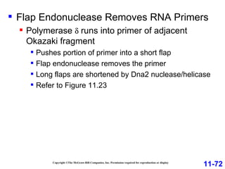 Copyright ©The McGraw-Hill Companies, Inc. Permission required for reproduction or display Flap Endonuclease Removes RNA Primers Polymerase    runs into primer of adjacent Okazaki fragment Pushes portion of primer into a short flap Flap endonuclease removes the primer Long flaps are shortened by Dna2 nuclease/helicase Refer to Figure 11.23 11-72 