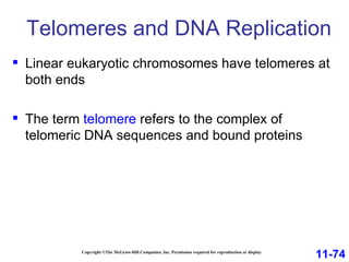 Telomeres and DNA Replication Copyright ©The McGraw-Hill Companies, Inc. Permission required for reproduction or display Linear eukaryotic chromosomes have telomeres at both ends The term  telomere  refers to the complex of telomeric DNA sequences and bound proteins 11-74 
