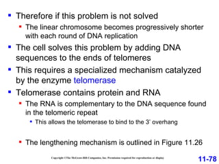Copyright ©The McGraw-Hill Companies, Inc. Permission required for reproduction or display Therefore if this problem is not solved The linear chromosome becomes progressively shorter with each round of DNA replication The cell solves this problem by adding DNA sequences to the ends of telomeres This requires a specialized mechanism catalyzed by the enzyme  telomerase Telomerase contains protein and RNA The RNA is complementary to the DNA sequence found in the telomeric repeat This allows the telomerase to bind to the 3’ overhang The lengthening mechanism is outlined in Figure 11.26 11-78 