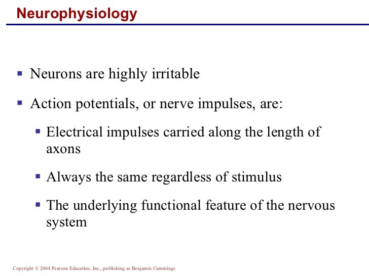 Neurophysiology of nerve impulses 2 essay
