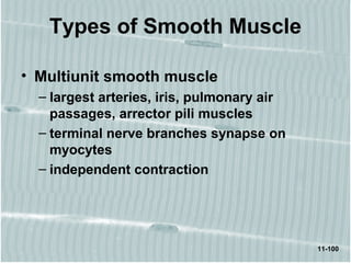 11-100
Types of Smooth Muscle
• Multiunit smooth muscle
– largest arteries, iris, pulmonary air
passages, arrector pili muscles
– terminal nerve branches synapse on
myocytes
– independent contraction
 