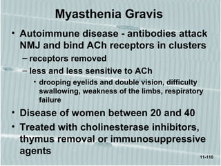 11-110
Myasthenia Gravis
• Autoimmune disease - antibodies attack
NMJ and bind ACh receptors in clusters
– receptors removed
– less and less sensitive to ACh
• drooping eyelids and double vision, difficulty
swallowing, weakness of the limbs, respiratory
failure
• Disease of women between 20 and 40
• Treated with cholinesterase inhibitors,
thymus removal or immunosuppressive
agents
 
