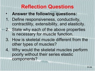 11-14
Reflection Questions
• Answer the following questions:
1. Define responsiveness, conductivity,
contractility, extensibility, and elasticity.
2. State why each of the above properties
is necessary for muscle function.
3. How is skeletal muscle different from the
other types of muscles?
4. Why would the skeletal muscles perform
poorly without their series elastic
components?
 