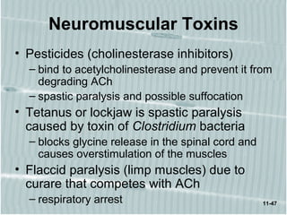 11-47
Neuromuscular Toxins
• Pesticides (cholinesterase inhibitors)
– bind to acetylcholinesterase and prevent it from
degrading ACh
– spastic paralysis and possible suffocation
• Tetanus or lockjaw is spastic paralysis
caused by toxin of Clostridium bacteria
– blocks glycine release in the spinal cord and
causes overstimulation of the muscles
• Flaccid paralysis (limp muscles) due to
curare that competes with ACh
– respiratory arrest
 