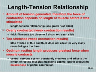 11-68
Length-Tension Relationship
• Amount of tension generated, therefore the force of
contraction depends on length of muscle before it was
stimulated
– length-tension relationship (see graph next slide)
• Overly contracted (weak contraction results)
– thick filaments too close to Z discs and can’t slide
• Too stretched (weak contraction results)
– little overlap of thin and thick does not allow for very many
cross bridges too form
• Optimum resting length produces greatest force when
muscle contracts
– central nervous system constantly monitors and adjusts the
length of resting muscles maintains optimal length producing
muscle tone or partial contraction
 