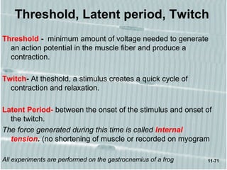 11-71
Threshold, Latent period, Twitch
Threshold - minimum amount of voltage needed to generate
an action potential in the muscle fiber and produce a
contraction.
Twitch- At theshold, a stimulus creates a quick cycle of
contraction and relaxation.
Latent Period- between the onset of the stimulus and onset of
the twitch.
The force generated during this time is called Internal
tension. (no shortening of muscle or recorded on myogram
All experiments are performed on the gastrocnemius of a frog
 