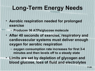 11-84
Long-Term Energy Needs
• Aerobic respiration needed for prolonged
exercise
– Produces 36 ATPs/glucose molecule
• After 40 seconds of exercise, respiratory and
cardiovascular systems must deliver enough
oxygen for aerobic respiration
– oxygen consumption rate increases for first 3-4
minutes and then levels off to a steady state
• Limits are set by depletion of glycogen and
blood glucose, loss of fluid and electrolytes
 