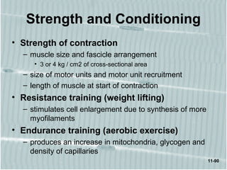 11-90
Strength and Conditioning
• Strength of contraction
– muscle size and fascicle arrangement
• 3 or 4 kg / cm2 of cross-sectional area
– size of motor units and motor unit recruitment
– length of muscle at start of contraction
• Resistance training (weight lifting)
– stimulates cell enlargement due to synthesis of more
myofilaments
• Endurance training (aerobic exercise)
– produces an increase in mitochondria, glycogen and
density of capillaries
 