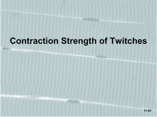 11-91
Contraction Strength of Twitches
 