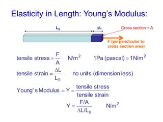 Elasticity in Length: Young’s Modulus:
2
0
0
22
N/m
L/L
F/A
Y
straintensile
stresstensile
YModulussYoung'
less)(dimensionunitsno
L
L
straintensile
N/m1(pascal)1PaN/m
A
F
stresstensile






F (perpendicular to
cross section area)
Cross section = ALL0
 