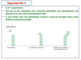IGCSE Biology Chap 12 chemical coordination in plants | PDF