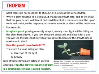 IGCSE Biology Chap 12 chemical coordination in plants | PDF