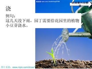   䣺 ⼸û꣬԰Ҫ԰ֲ Сѿˮ  ͼƬԴ www.nipic.com/show/1/72/3687e54b1ec07182.html   صȻ 