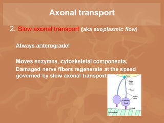 Chap12 powerpoint ppt | PPT