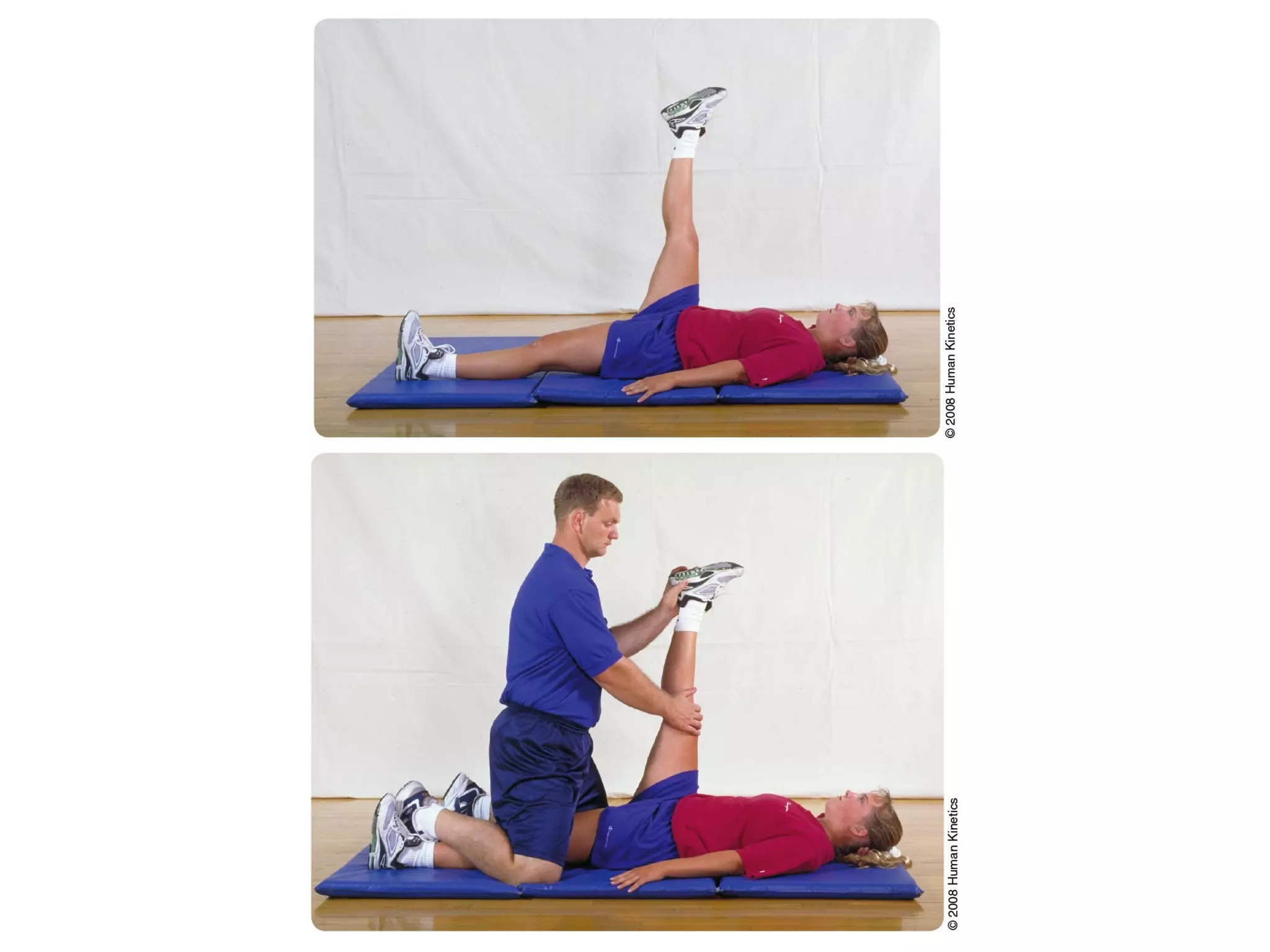 Figures 13.1 and 13.2
 