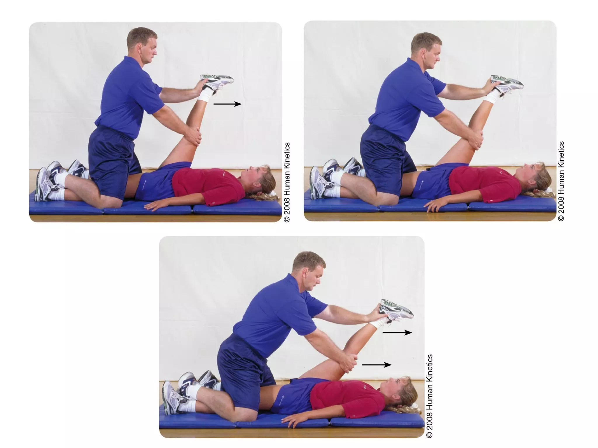 Figures 13.9, 13.10, and 13.11
 