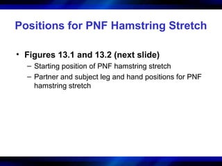 Positions for PNF Hamstring Stretch
• Figures 13.1 and 13.2 (next slide)
– Starting position of PNF hamstring stretch
– Pa...