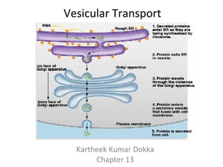 Vesicular Transport Kartheek Kumar Dokka Chapter 13 