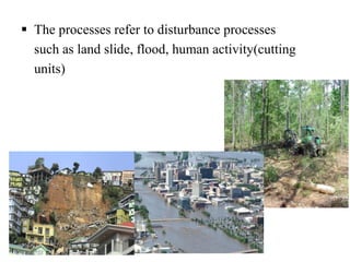  The processes refer to disturbance processes 
such as land slide, flood, human activity(cutting 
units) 
 