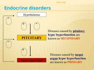 Comprehensive Overview of Endocrine Hormones and Their Functions in ...