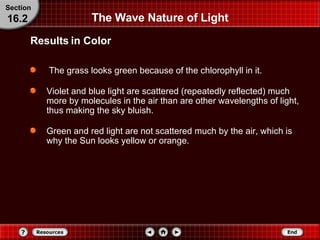The Wave Nature of Light The grass looks green because of the chlorophyll in it. Violet and blue light are scattered (repeatedly reflected) much more by molecules in the air than are other wavelengths of light, thus making the sky bluish. Green and red light are not scattered much by the air, which is why the Sun looks yellow or orange.  Results in Color Section 16.2 