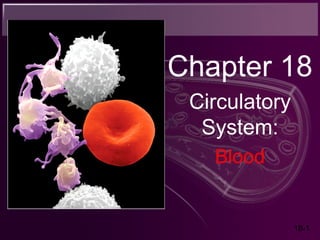 18-1
Chapter 18
Circulatory
System:
Blood
 