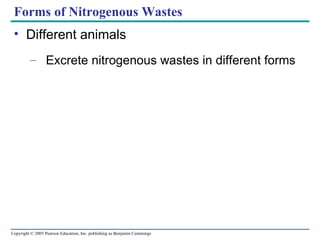 Forms of Nitrogenous Wastes Different animals Excrete nitrogenous wastes in different forms 