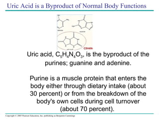 Uric Acid is a Byproduct of Normal Body Functions Uric acid, C 5 H 4 N 4 O 3 , is the byproduct of the purines; guanine and adenine. Purine is a muscle protein that enters the body either through dietary intake (about 30 percent) or from the breakdown of the body's own cells during cell turnover (about 70 percent).  