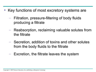 Key functions of most excretory systems are Filtration, pressure-filtering of body fluids producing a filtrate Reabsorption, reclaiming valuable solutes from the filtrate Secretion, addition of toxins and other solutes from the body fluids to the filtrate Excretion, the filtrate leaves the system 