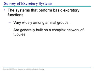 Survey of Excretory Systems The systems that perform basic excretory functions Vary widely among animal groups Are generally built on a complex network of tubules 